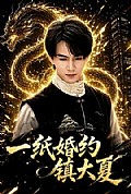 《一纸婚约镇大夏》封面