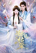 《她见枯荣》封面