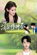 《清梨撞满怀》封面