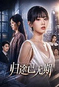 《归途已无期》封面