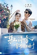 《禁止闪婚,雾散归栖时》封面