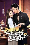 《老板非要和我结婚怎么办第二季》封面
