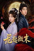 《龙起微末》封面