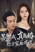 《别惹我,真离婚你全家都得慌》封面