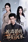 《被离婚的幕后玩家》封面
