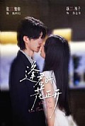 《逢君时花正开》封面