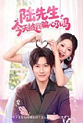 《陆先生今天被我骗心了吗》封面