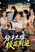 《分手太难,校花别追》封面