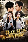 《特工姐妹闯入农村破奇案》封面