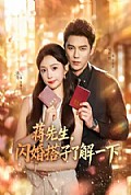 《蒋先生,闪婚搭子了解一下》封面