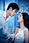 《梨花不欺少年棠》封面