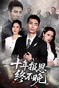 《十年报恩终不晚》封面