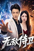 《无敌侍卫》封面