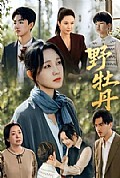 《野牡丹》封面