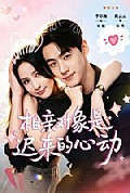 《相亲对象是迟来的心动》封面