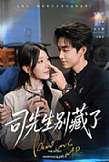 《司先生别藏了》封面