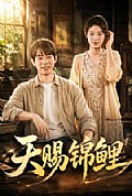 《天赐锦鲤》封面