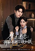 《禁止迷恋:何秘书她心硬如铁》封面