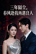 《三年隔尘,春风赴我再遇良人》封面