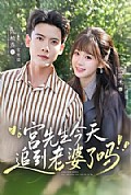 《宫先生今天追到老婆了吗》封面