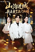 《山沟进城,我去当了上门女婿》封面