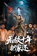 《无敌十年把家还》封面