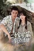 《二嫁矿霸有点甜》封面