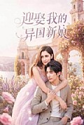 《迎娶我的异国新娘》封面