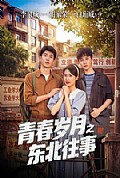 《青春岁月之东北往事》封面
