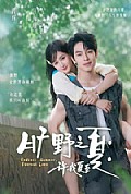 《旷野之夏：许我夏至》封面