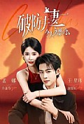 《破防夫妻今天离婚了么》封面