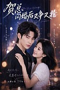 《贺总闪婚后又争又抢》封面