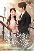《勇敢后妈驾到之荔香入宋庭》封面