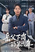 《岳父下岗的第六年》封面