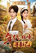 《年代:林峰寻妻记》封面