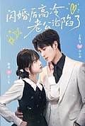 《闪婚后高冷老公沦陷了》封面