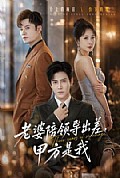 《老婆陪领导出差,甲方是我》封面
