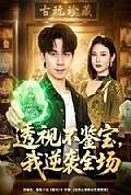 《透视不鉴宝,我逆袭全场》封面
