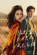 《陆先生,你的夫人武艺高强》封面