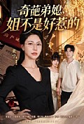《奇葩弟媳,姐不是好惹的》封面