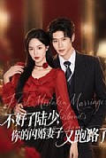 《不好了陆少,你的闪婚妻子又跑路了》封面