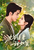 《沈爷追妻甜如蜜》封面