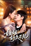 《姐姐,好久不见》封面