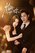 《恰好心动于你》封面