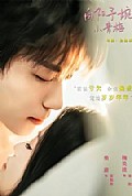 《向阳予婉小青梅》封面