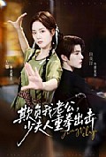 《欺负我老公,少夫人重拳出击》封面