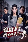 《谁偷走了奶奶的天价水费》封面