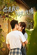 《你是我的阳光玫瑰》封面