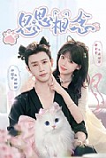 《思思相念》封面