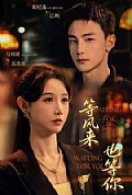 《等风来也等你》封面